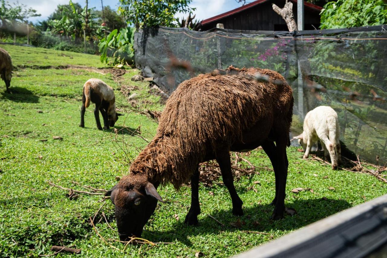 Hotel & Spa Escondite De La Montana Sabana Redonda Экстерьер фото